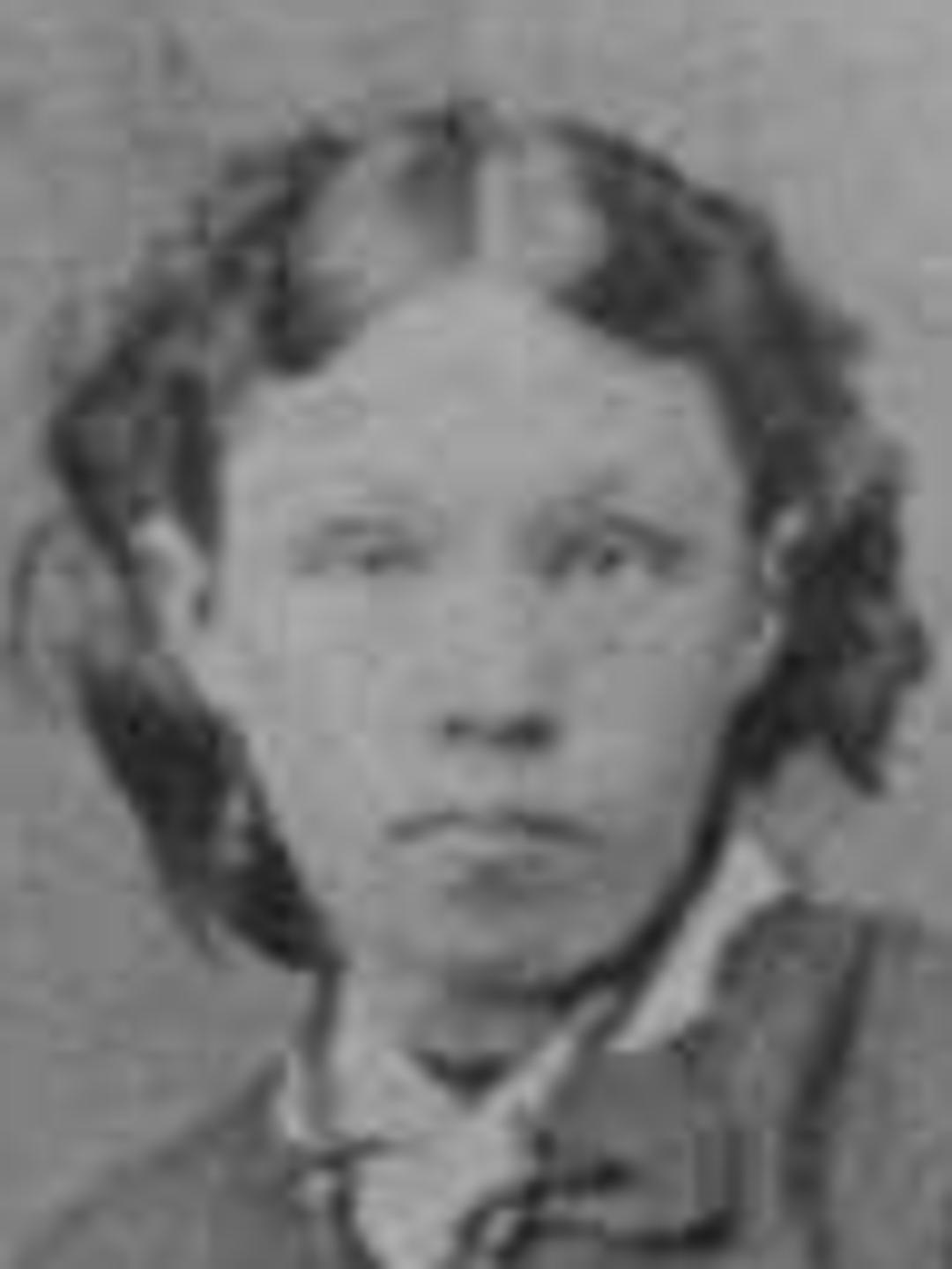 Elizabeth Barrell (1844 - 1922) Profile